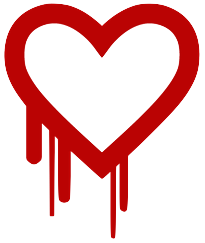 assets/files/Heartbleed.png