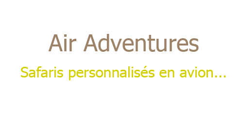 Miniature du site