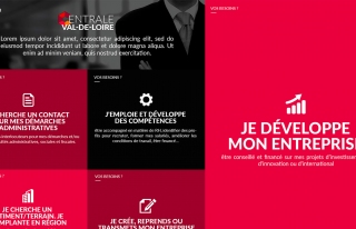 PREU - Proposition de webdesign en réponse à un appel d'offre pour le portail d’orientation d’entreprise unique en région Centre.