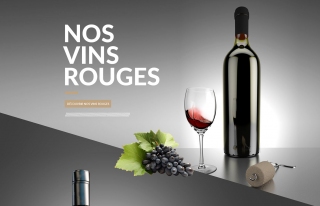 Biovidis - 