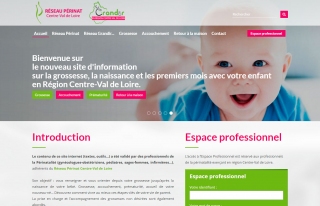 Périnat Centre - Réalisation du site internet Périnat Centre.