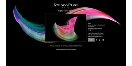 Raison Pure